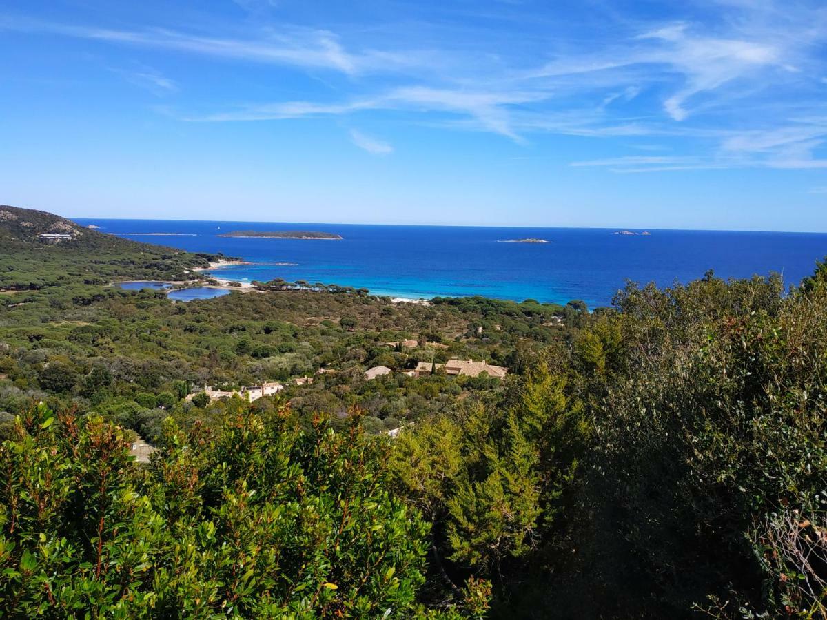 Residence Belvedere De Palombaggia Porto-Vecchio  Zewnętrze zdjęcie